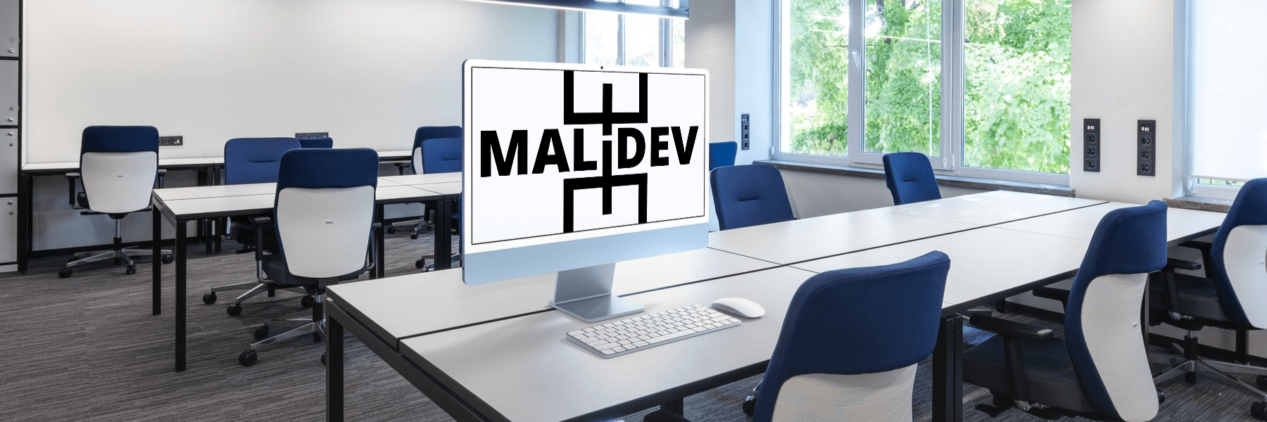 Développement de logiciels